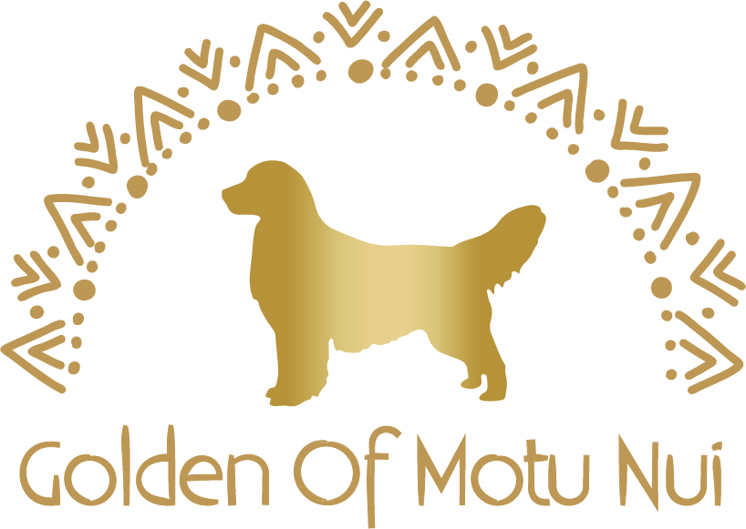 Golden of Motu nui logo